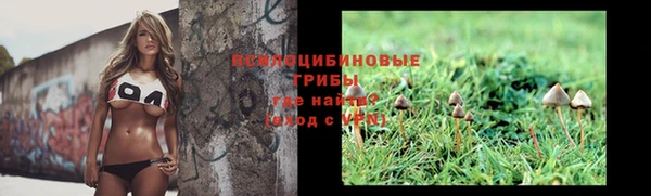 экстази Алексин