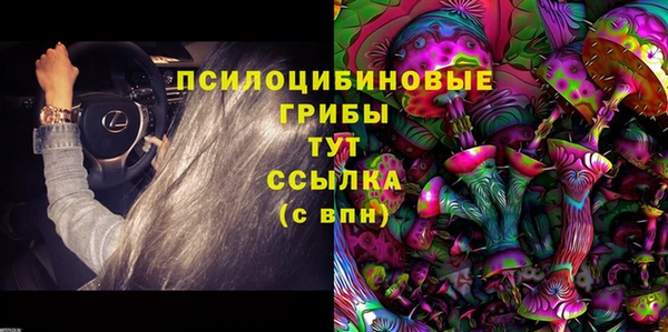 хмурый Алексеевка