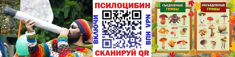 Галлюциногенные грибы Psilocybine cubensis  Задонск 