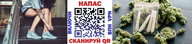 Бошки Шишки план Задонск